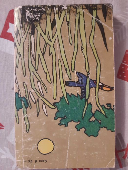 Diamentowa rzeka - Bolesław Żabko-Potopowicz