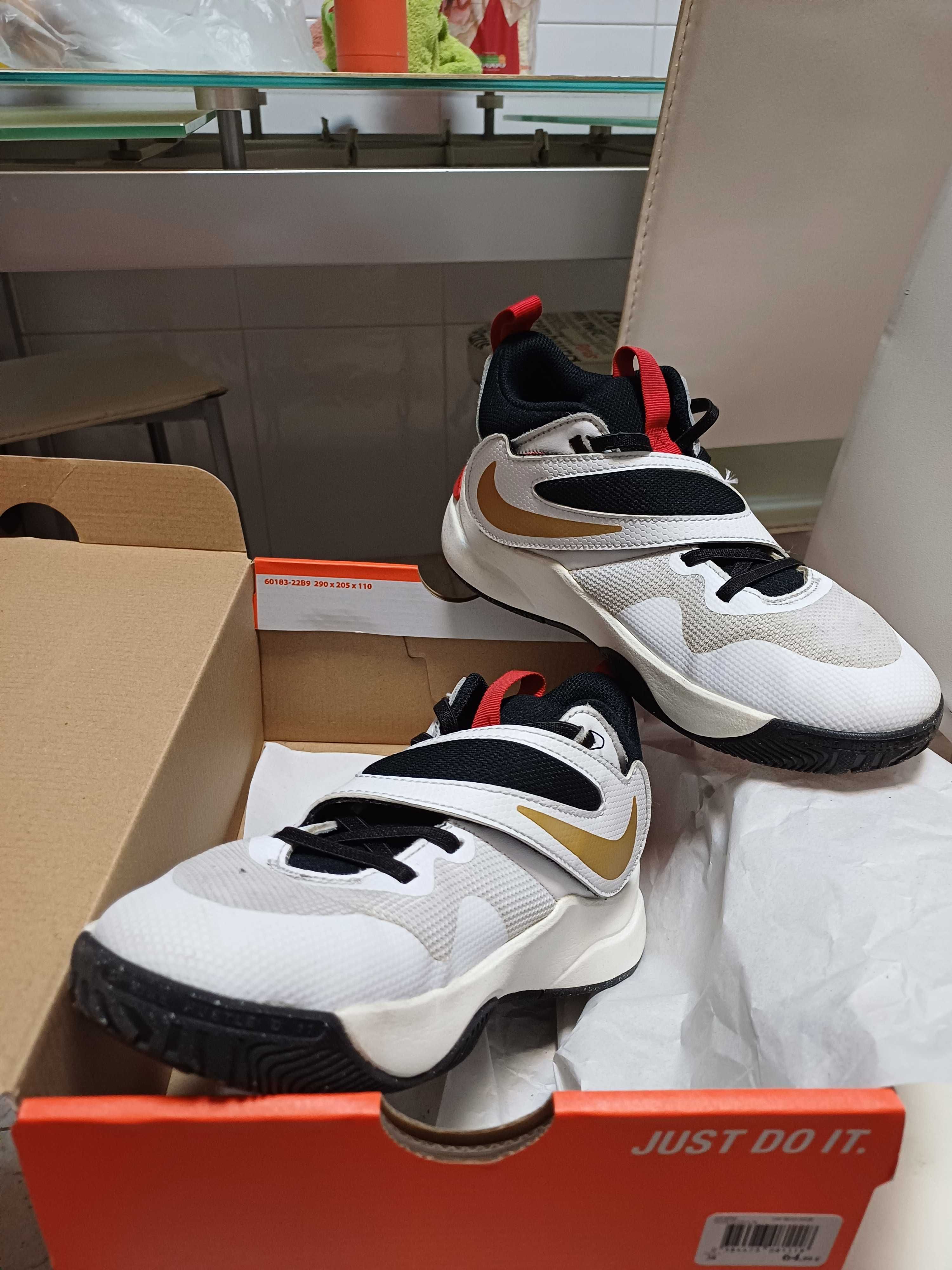 Sapatilhas Basquetebol Nike Team Hustle