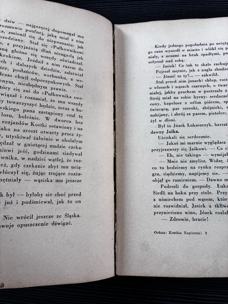 Władysław Orkan - Kostka Napieralski Powieść