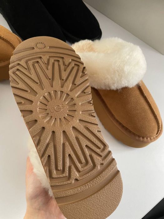 Знижка Black Friday Уггі, ugg, угги тазз, трендова модель