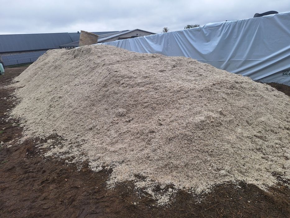 Wysłodki buraczane mokre świeże luzem szybka realizacja