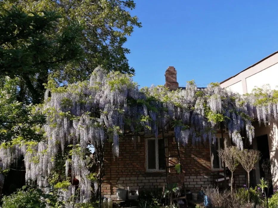 Продам будинок з ексклюзивною земельною ділянкою в центрі міста.