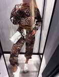 Dres w pantere spodnie bluza