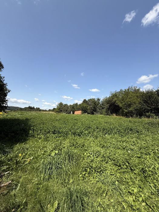 Продаж будинку с.Залужжя