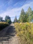 Продаж Земельна ділянка 10сот Рожівка Скибин Богданівка Велика Димерка