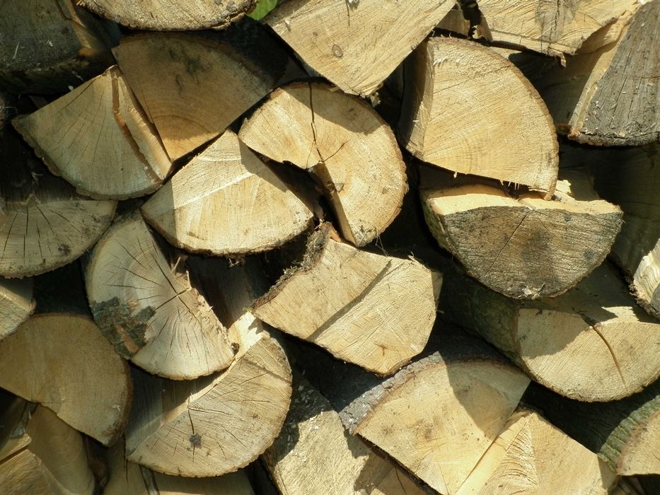 Drewno kominkowe i opałowe SUCHE, SEZONOWANE JAWOR