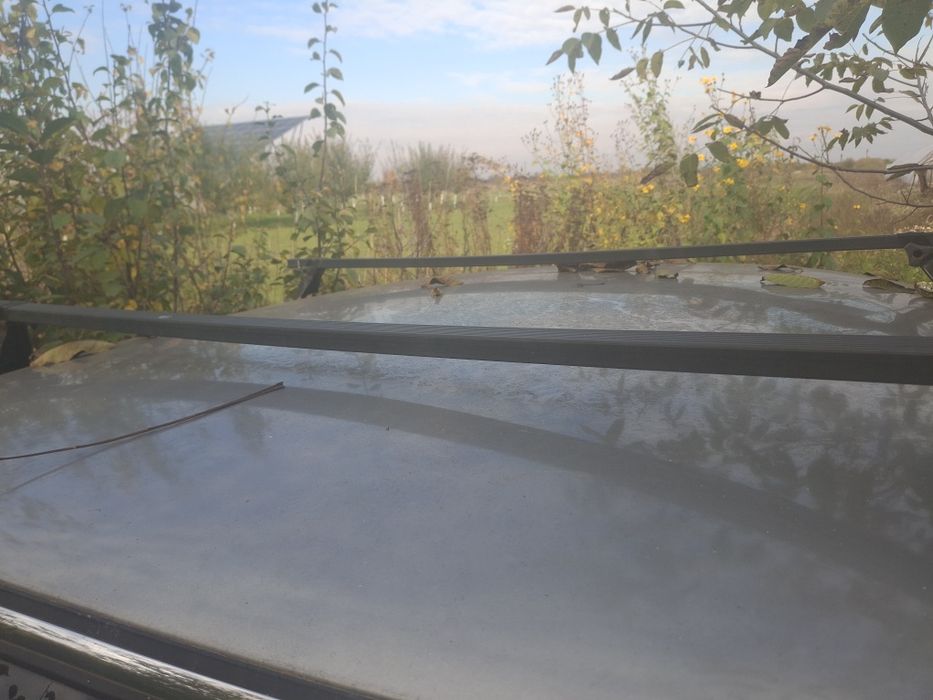 Волга бензин 2,3