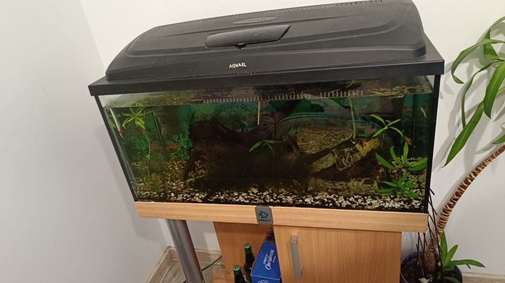 Sprzedam akwarium z szafką