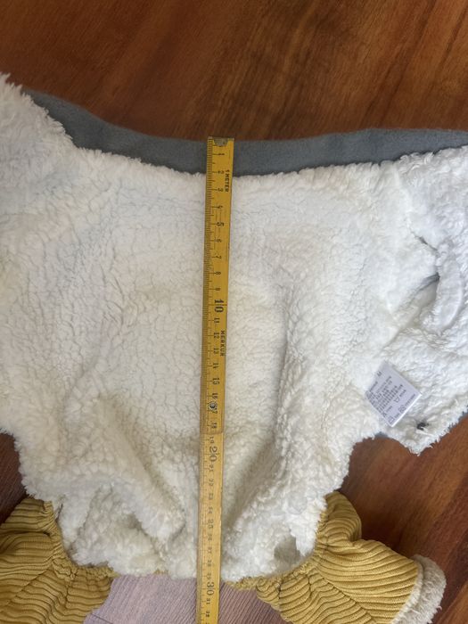 Одяг для собак або котів