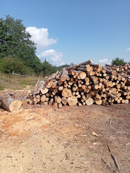 Drewno opałowe, kominkowe