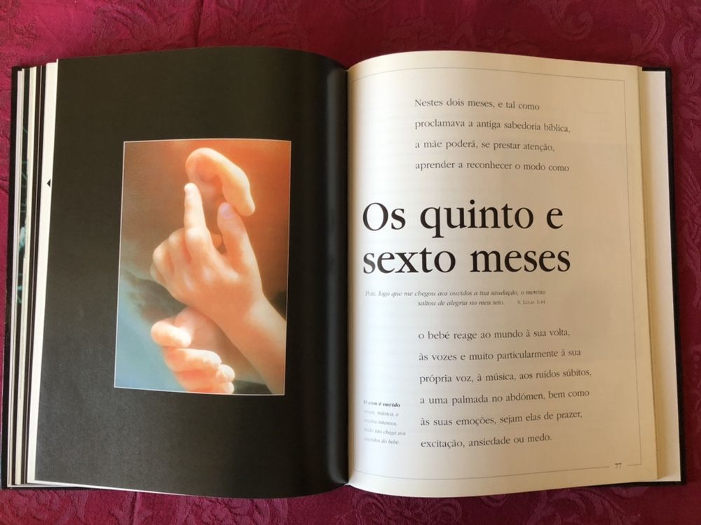 Livro: “O Princípio da Vida”