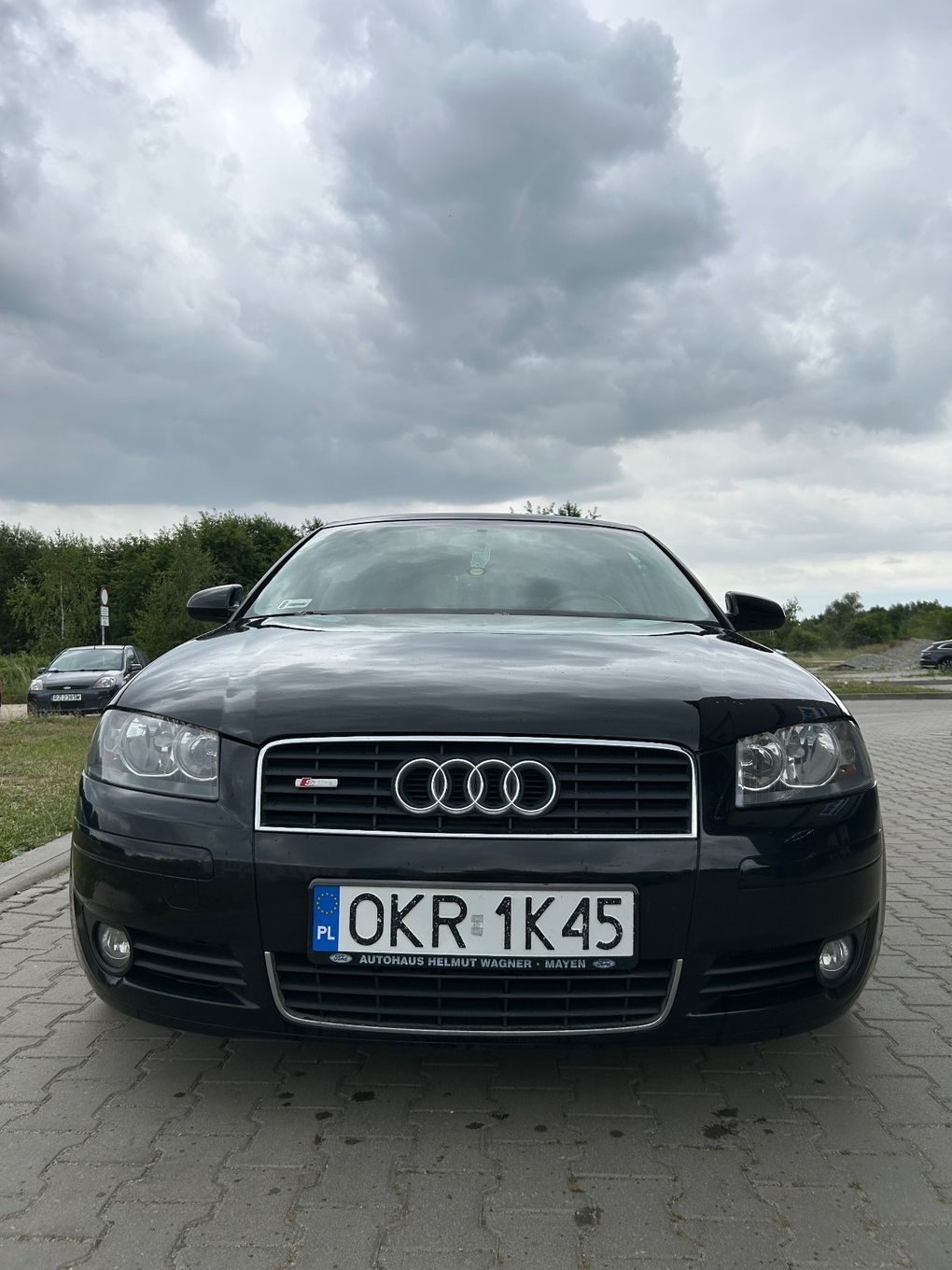 Audi A3 Audi A3 8P 2004 r. 1.9 TDI