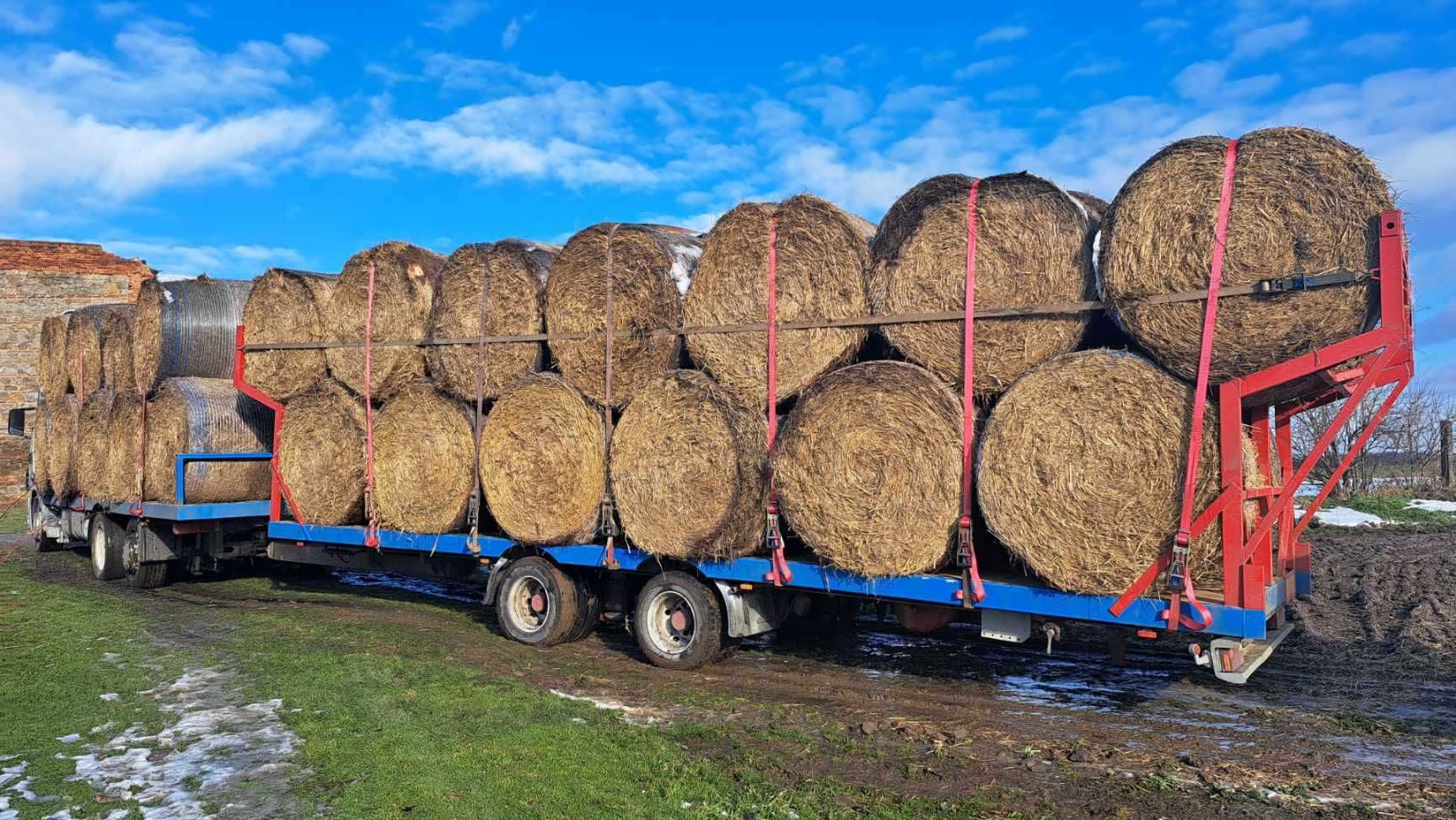 słoma z transportem 5 tyś ton  balot 1,6m  PO PASÓWCE LELY WELGER