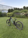 Propain Tyee 5 Cf L