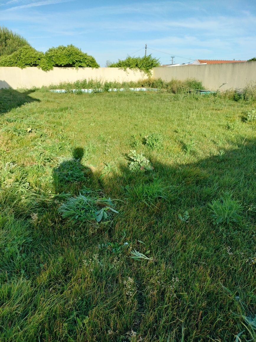 Manutenção de jardins