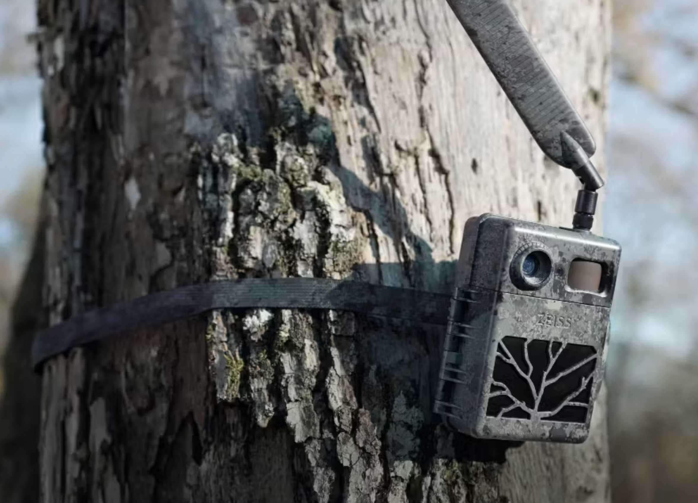 Фотопастка Zeiss Secacam 7