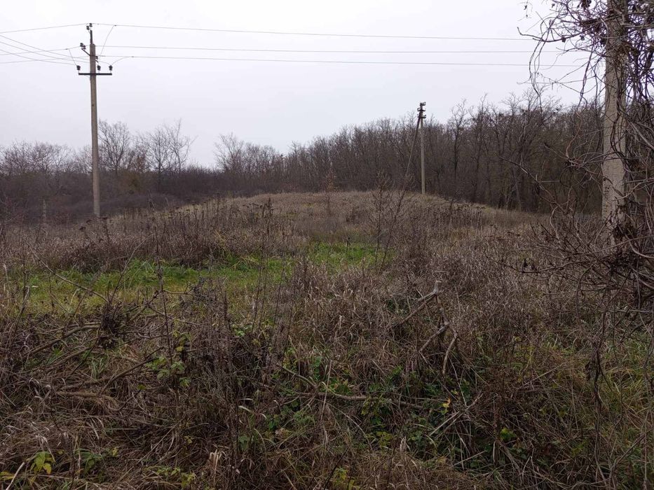 Земельна ділянка 25 с, в с.Гавронці