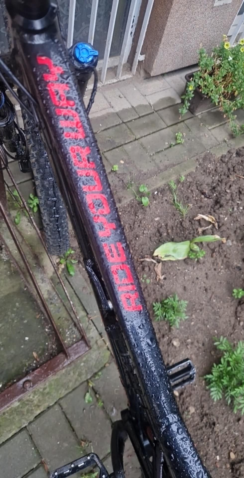 Rower enduro Dartmoor Blackbird Intro 27.5 2021