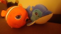 Rybki nemo