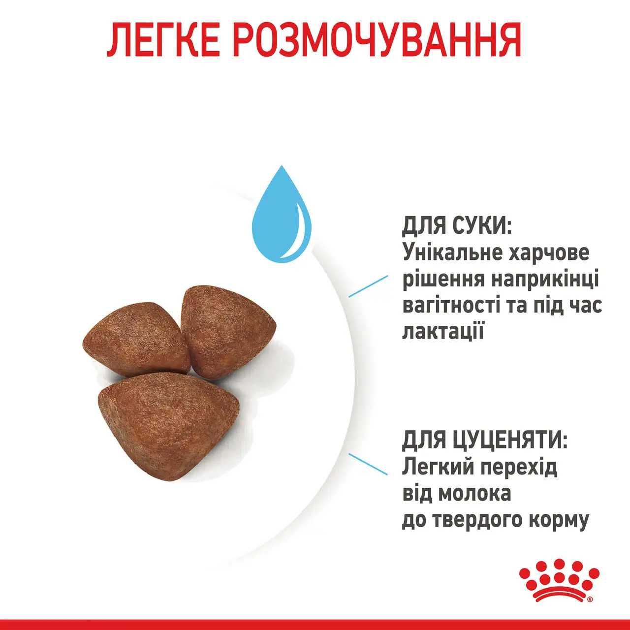 Royal Canin Mini Starter для щенков до 2 месяцев и беременных собак