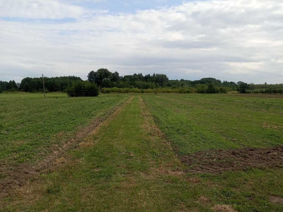 Sprzedam działkę gm. Grójec