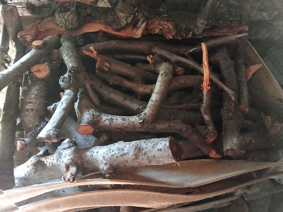 Drewno do wędzenia Jabłoń