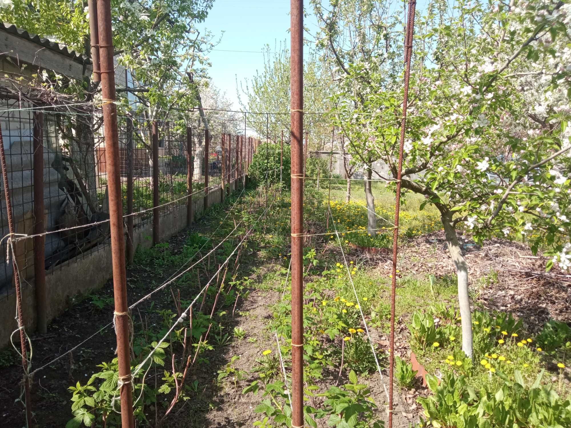 Продам дачу в садовому товаристві с. Червона Слобода