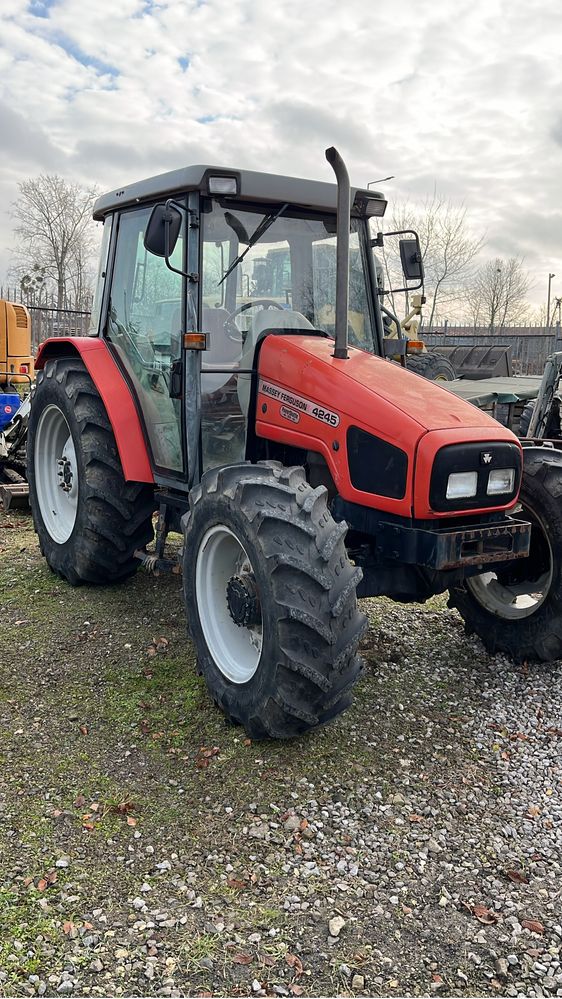 Massey Ferguson sadowniczy