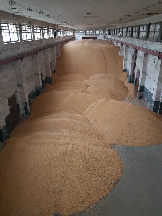 Оренда приміщень від 200 до 3300м2 на території виробничого комплексу