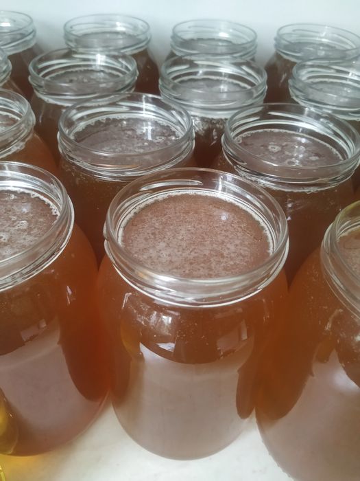 Naturalny miód lipowy i wielokwiatowy