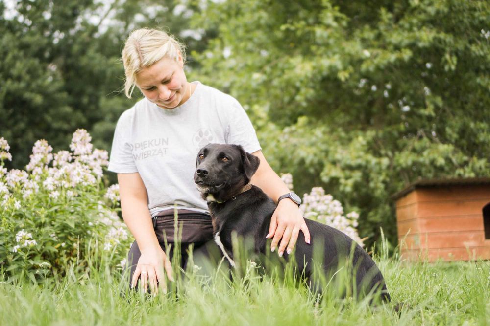 Roczna Ejwa szuka domu!