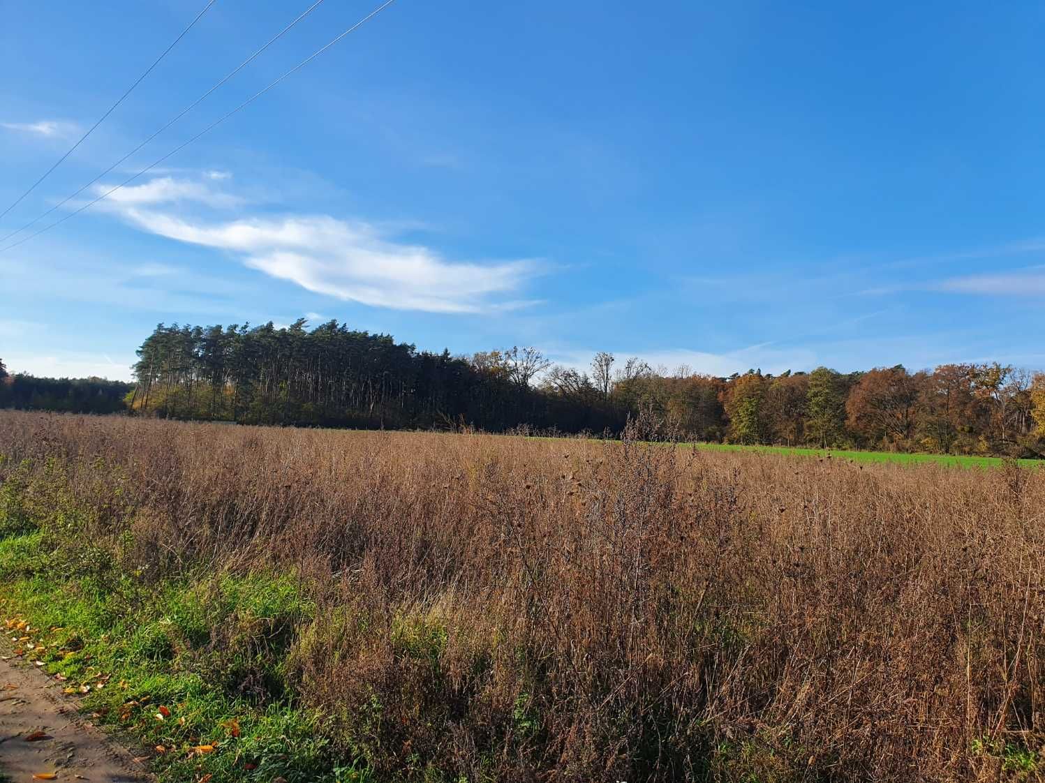 Działka budowlana - Mechlin