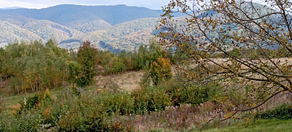 Чудова ділянка у чудовому місці на курорті Поляна Закарпатська область