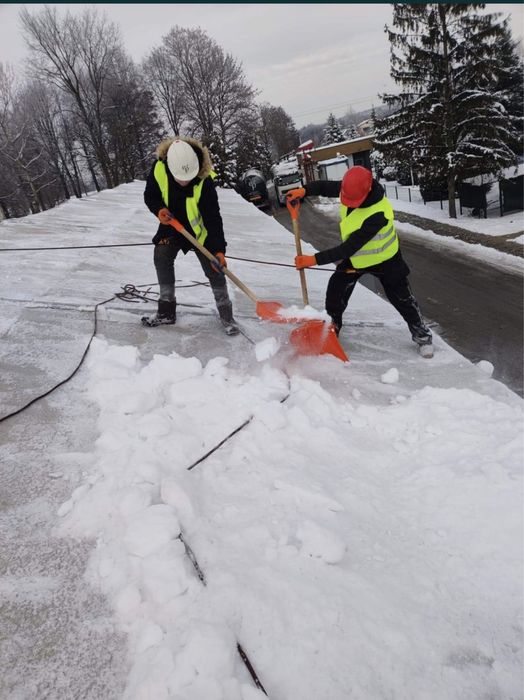 Wycinka drzew niebezpiecznych oraz odsieżanie dachow hal przemyslowych