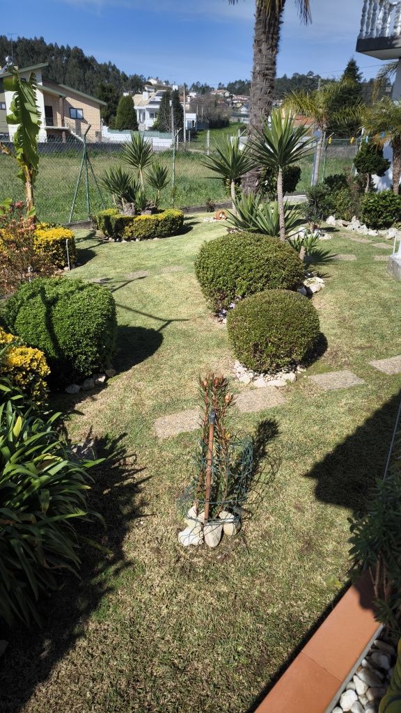 Serviços de jardinagem e Construção de relvados
