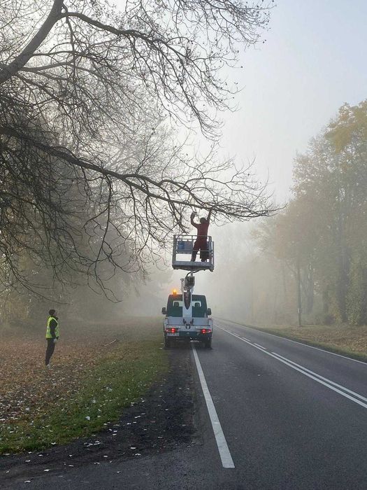 Wynajem podnośników koszowych, Wycinka drzew, Czyszczenie rynien