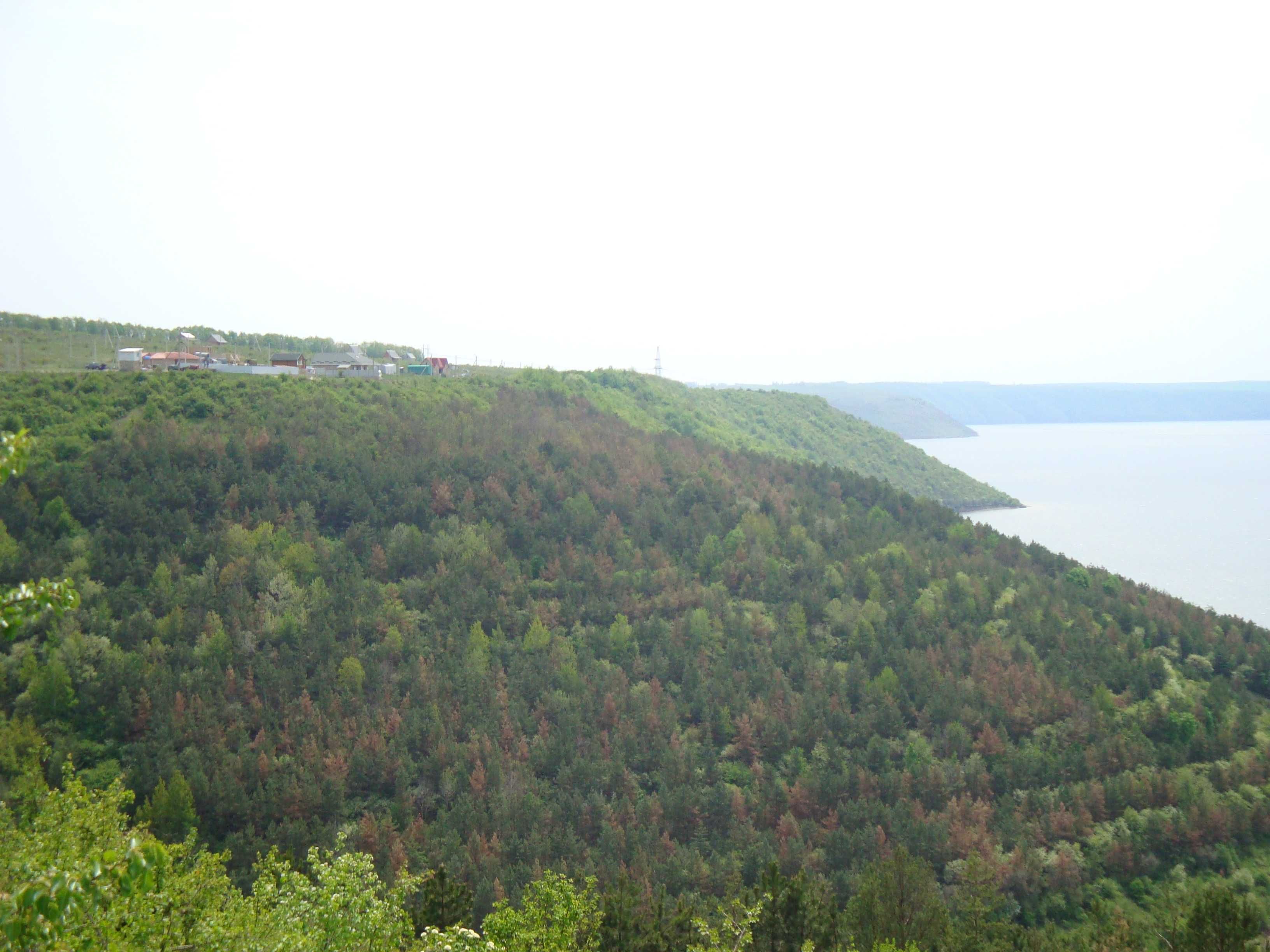 Земельна ділянка на Дністрі