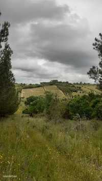 Vendo terreno Zona Azambuja