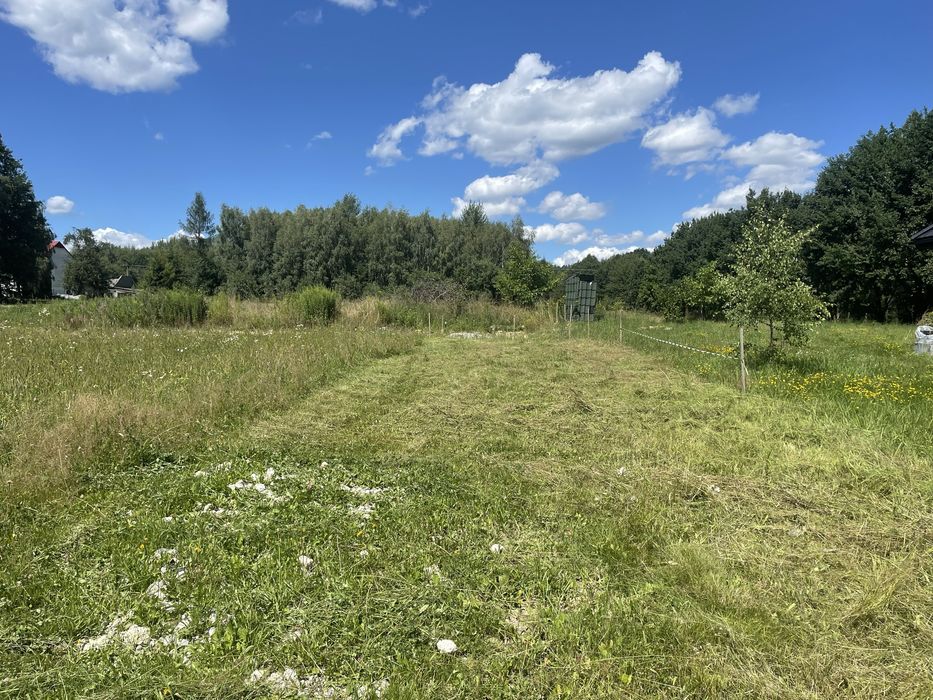 Działka 11a - wyplantowana z dojazdem (Pilzno)