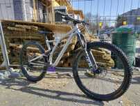 Specialized stumpjumper alloy raw 2019 evo s3 koła 29 CUSTOM