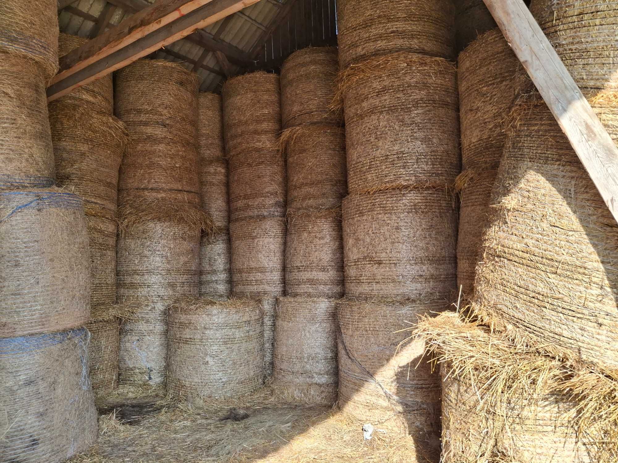 Słoma w belach Siano suche ze stodoły oraz  bele kiszonki Lucerny
