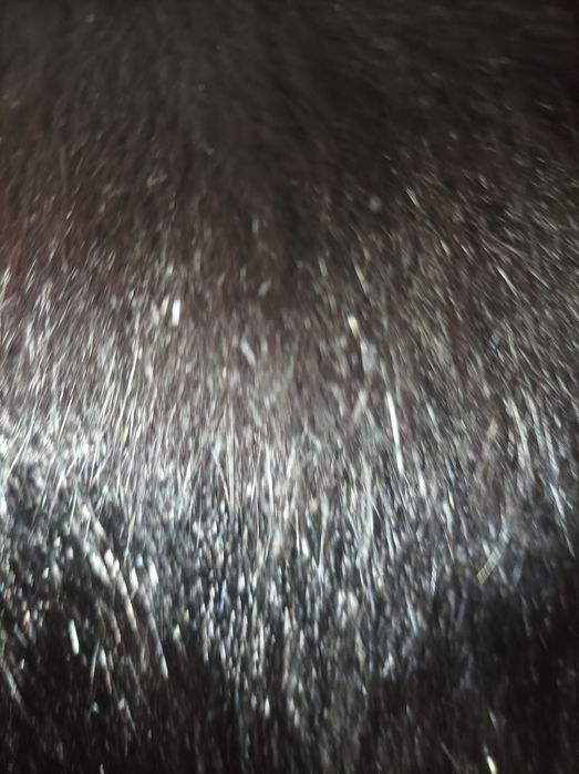 Шуба з Нутрії для жіночки