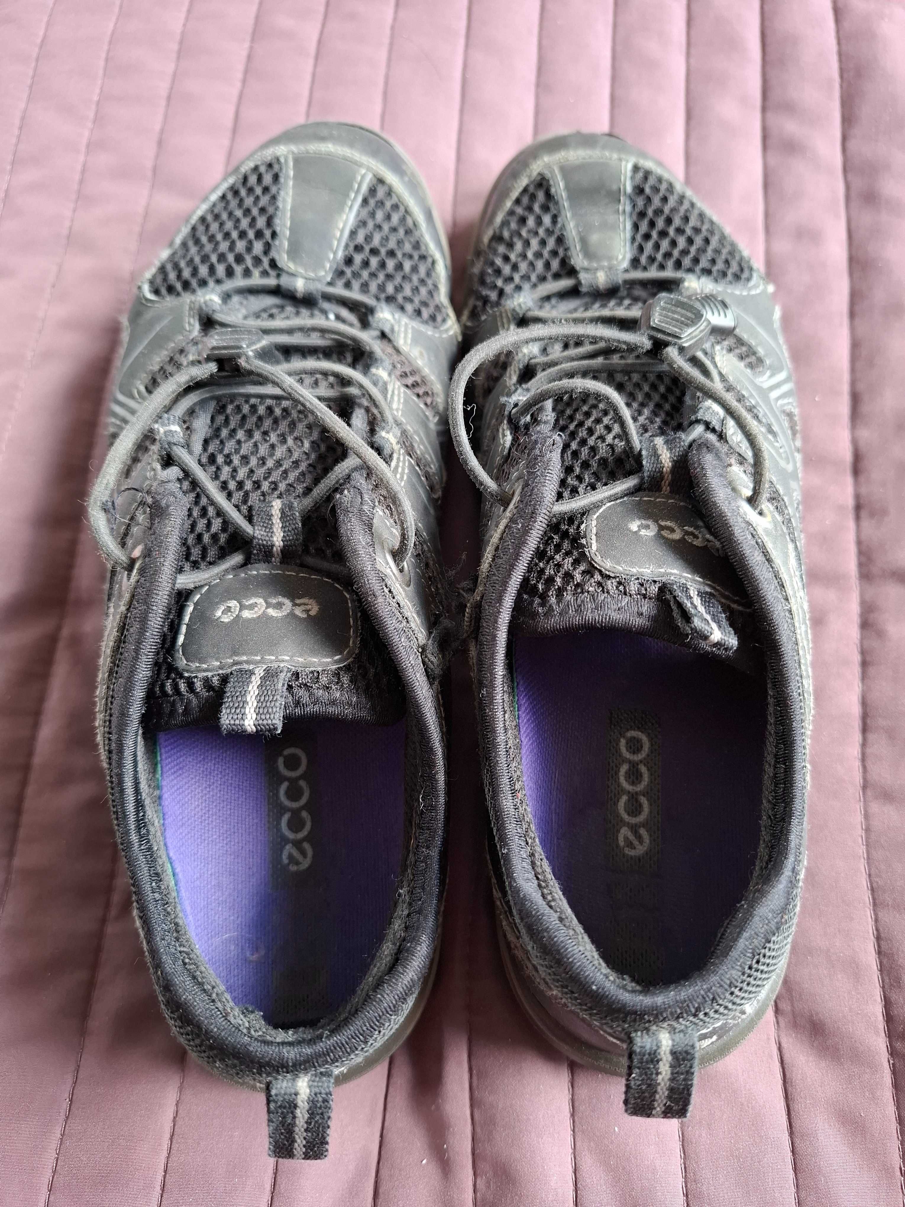 Ecco TerraCRUISE 36