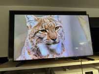 Telewizor Samsung 50 cali 4k dvb t2 stan jak nowy