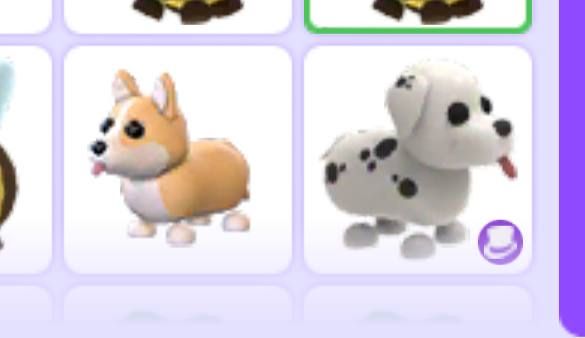 Dalamtian corgi adopt me