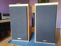 Acoustic energy aegis neo