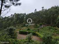 Propriedade com Casa para Restauro no Parque Nacional do Gerês