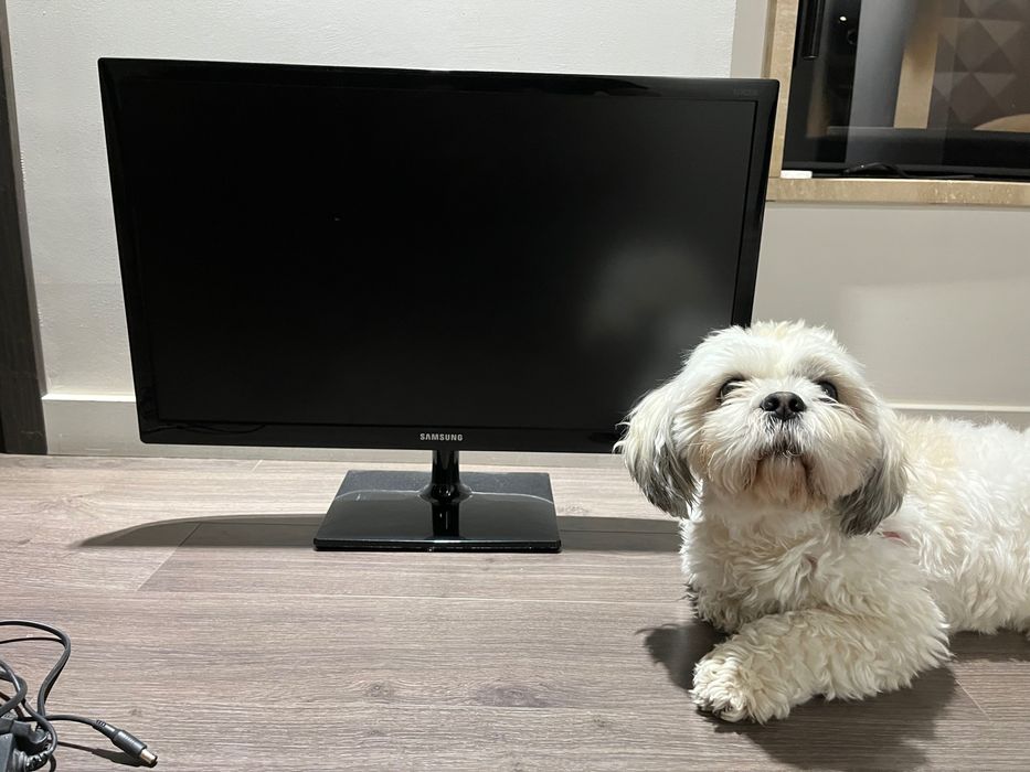 Monitor Samsung 27 cali