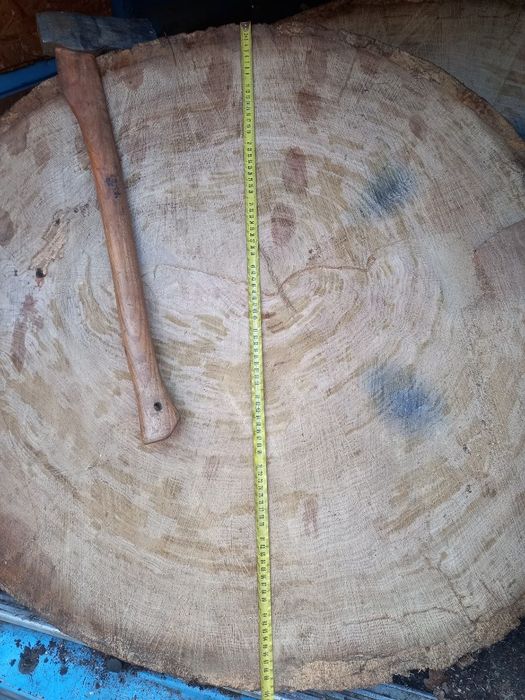 Plastry dębu na stół