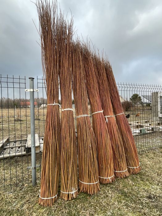 Wiklina sucha sortowana 140-220cm